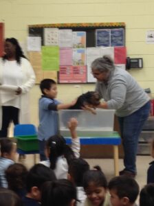 Mrs. Charneco giving her dog a bath with student